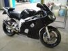 r6.jpg