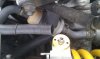 fuel_filter_location_1037x621.jpg
