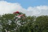 BSB saturday 6-8-11 002.jpg