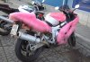 ramrider1.jpg