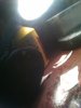 IMAG0193.jpg