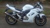 DSC01550 - Copy.JPG