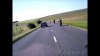 wilts5.png