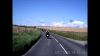 wilts6.png