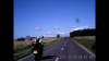 wilts7.png
