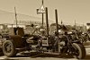 Brightona_14-10-12_74R0826SMALL.JPG