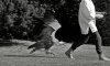 Warrick_2012_74R8816.jpg