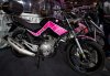 MCN_15-02-13_74R1484.jpg