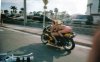 squids4_zpsa610666b.jpg