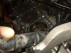 20131216_115331 (640x480).jpg