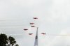 DSC_4339.jpg