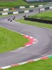 20180513_092043-774x1032.jpg