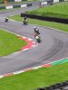 20180513_092045-774x1032.jpg